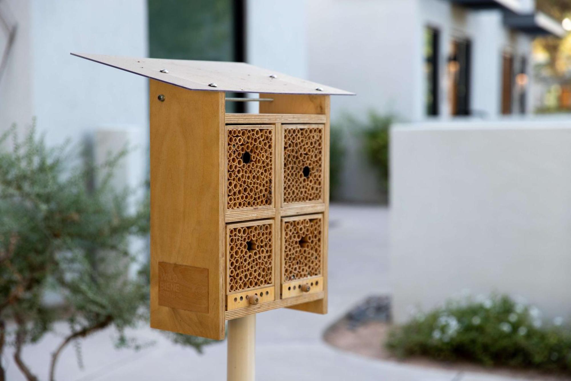 Andaz Scottsdale Resort & Bungalows Ngoại thất bức ảnh